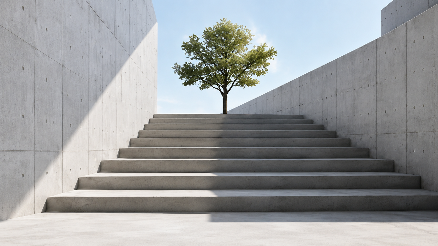 Concrete stairs and a single tree